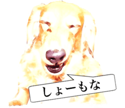 3 Dogs Sticker sticker #14227620