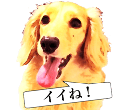 3 Dogs Sticker sticker #14227624