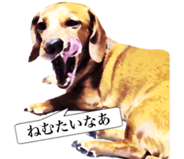 3 Dogs Sticker sticker #14227627