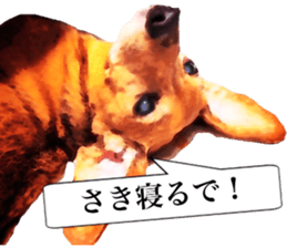 3 Dogs Sticker sticker #14227630