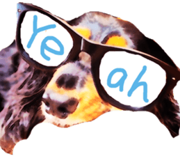 3 Dogs Sticker sticker #14227636