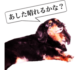 3 Dogs Sticker sticker #14227643