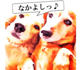 3 Dogs Sticker sticker #14227649