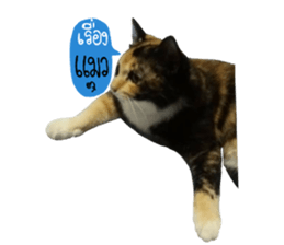 Sri None sticker #14227710