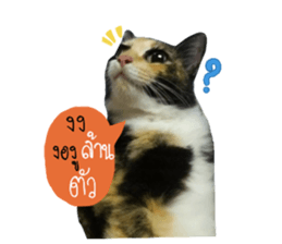 Sri None sticker #14227711