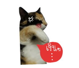 Sri None sticker #14227712