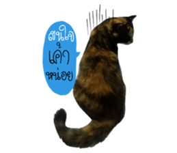 Sri None sticker #14227713