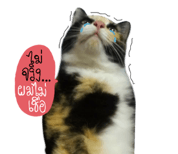 Sri None sticker #14227714