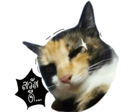 Sri None sticker #14227715