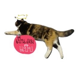 Sri None sticker #14227716