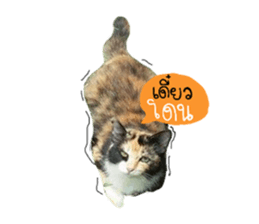 Sri None sticker #14227717