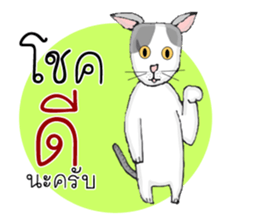 Pawae And Meesuk sticker #14227955