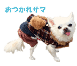 Pino&Chocojii sticker #14228843