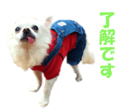 Pino&Chocojii sticker #14228845