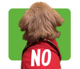 Buu-chan,Chi-cha sticker #14228887