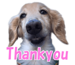 Buu-chan,Chi-cha sticker #14228888