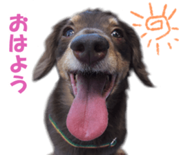 Buu-chan,Chi-cha sticker #14228889