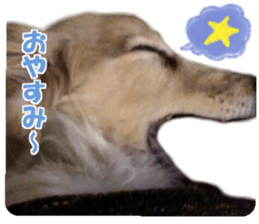 Buu-chan,Chi-cha sticker #14228890