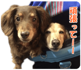 Buu-chan,Chi-cha sticker #14228891