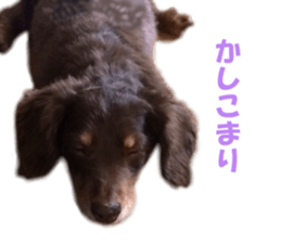 Buu-chan,Chi-cha sticker #14228893