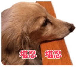 Buu-chan,Chi-cha sticker #14228895