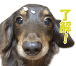 Buu-chan,Chi-cha sticker #14228900