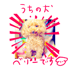 dog :) name:berry