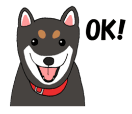 Japanese Black Shiba dog.(English) sticker #14231126