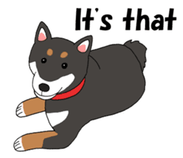 Japanese Black Shiba dog.(English) sticker #14231128