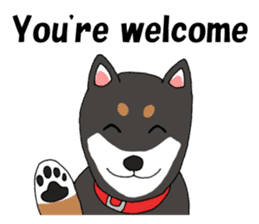 Japanese Black Shiba dog.(English) sticker #14231134