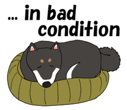 Japanese Black Shiba dog.(English) sticker #14231136