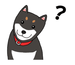 Japanese Black Shiba dog.(English) sticker #14231137
