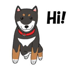 Japanese Black Shiba dog.(English) sticker #14231138