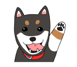 Japanese Black Shiba dog.(English) sticker #14231139
