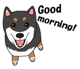 Japanese Black Shiba dog.(English) sticker #14231142
