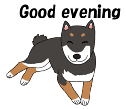 Japanese Black Shiba dog.(English) sticker #14231144