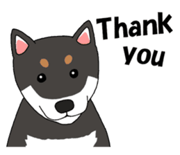 Japanese Black Shiba dog.(English) sticker #14231146