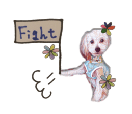 toy poodle mashu sticker sticker #14231727