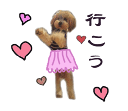 toy poodle mashu sticker sticker #14231729