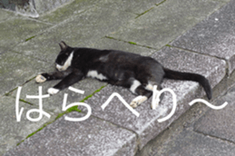 Park Cats 2 sticker #14232614