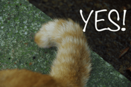 Park Cats 2 sticker #14232618