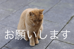 Park Cats 2 sticker #14232622