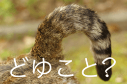 Park Cats 2 sticker #14232626