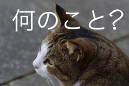 Park Cats 2 sticker #14232627