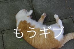 Park Cats 2 sticker #14232631