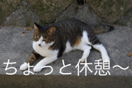 Park Cats 2 sticker #14232633