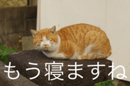 Park Cats 2 sticker #14232634