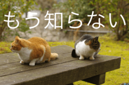 Park Cats 2 sticker #14232637