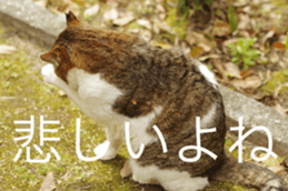 Park Cats 2 sticker #14232638