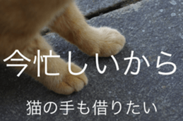 Park Cats 2 sticker #14232639